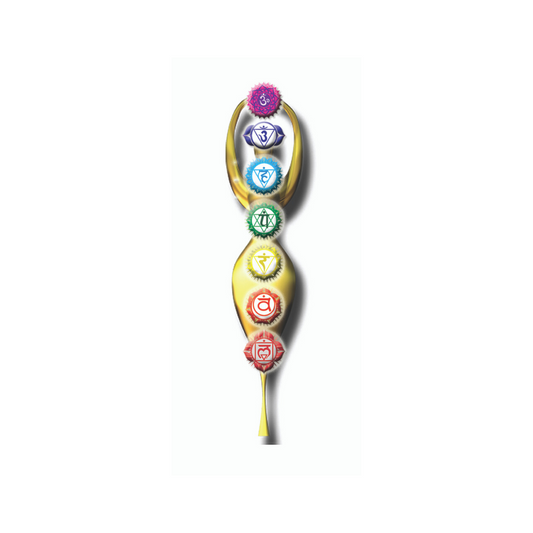 Chakra Balance with VANDA Private Session Appointment Only