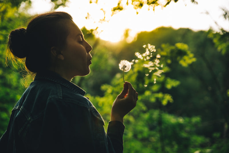 Is Good Fortune Unpredictable? | VANDA Wisdom