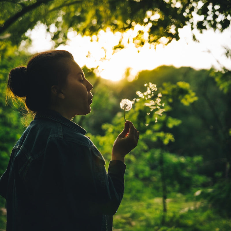 Is Good Fortune Unpredictable? | VANDA Wisdom
