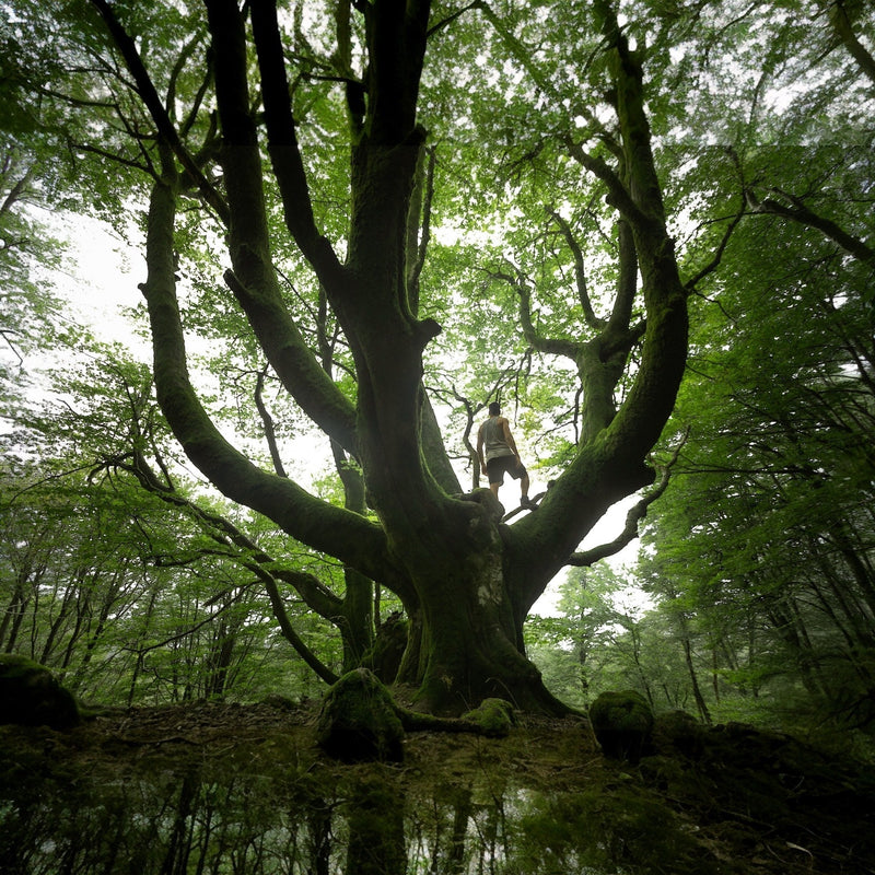 What Is The WorQ | Soul Methodology by VANDA
