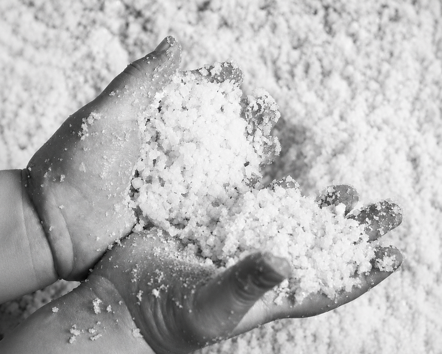 The Sacred Intelligence You Hold in Your Hands